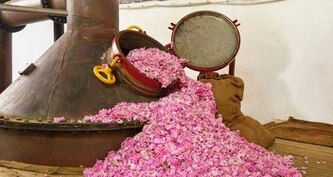 Traditional steam distillation